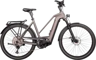 Hercules Futura Max I-12 Silber Modell Aktion