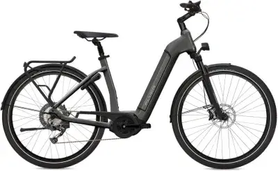 Flyer Gotour6 3.10 Grau Modell Aktion