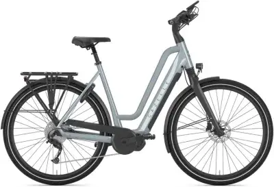 Gazelle Chamonix T10 HMS Grau Modell 2024