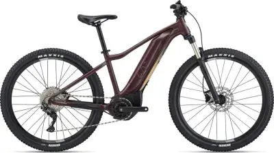 Liv Tempt E+ 1 V1 Braun Modell 2025