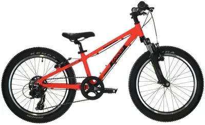 Carver Strict 20 Orange Modell 2025