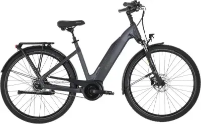 Carver Cityzen E.420 RT Grau Modell 2025