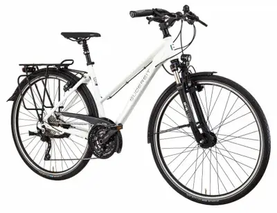 Gudereit LC-55 evo Weiß Modell Aktion