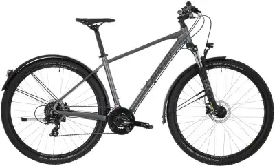 Carver Strict 120 Street Grau Modell 2025