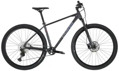 Carver Strict 170 Grau Modell 2025