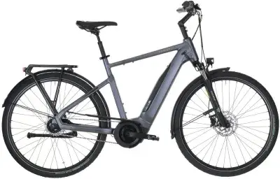 Carver Tour E.420 Grau Modell Aktion