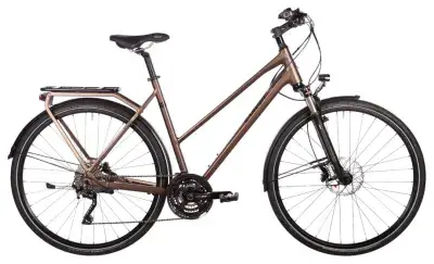 Carver Route 150 30s Braun Modell 2025