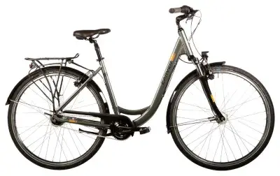 Carver Cityzen 130 Grau Modell 2027