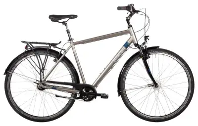 Carver Cityzen 110 Grau Modell 2027