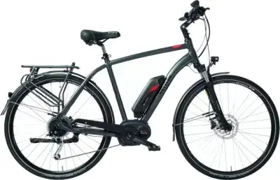 Kettler Traveller E Gold FL (500 Wh) Grau Modell Aktion