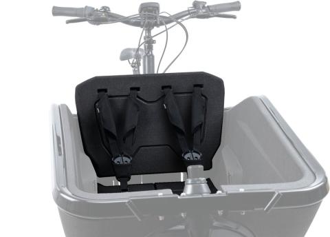 Cube Sicherheitsgurt CARGO Schwarz Modell 2026