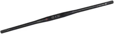Ergotec Flat Bar E-Bike Lenker 780mm/12°/31,8mm Schwarz Modell 2026