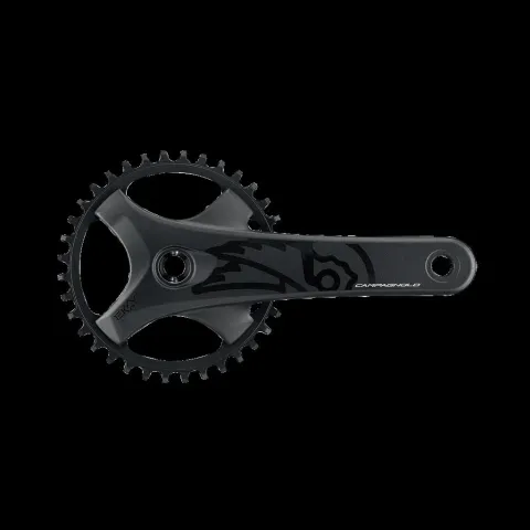 Campagnolo 13-fach,40Z.,175mm,Q-f.151mm,BCD 104mm KRG Ekar GT 13s