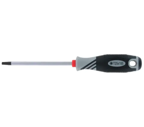 Var T 25Torx Schraubendreher