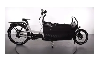 Ca Go FS 200 Vario Cover Pro | Upway, Gebrauchtes Ebike