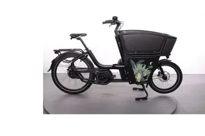 Urban Arrow Shorty | Upway, Gebrauchtes Ebike