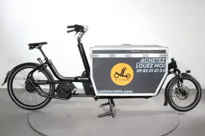 Urban Arrow Cargo L | Upway, Gebrauchtes Ebike