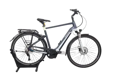 Pegasus Premio EVO 10 Lite | Upway, Gebrauchtes Ebike