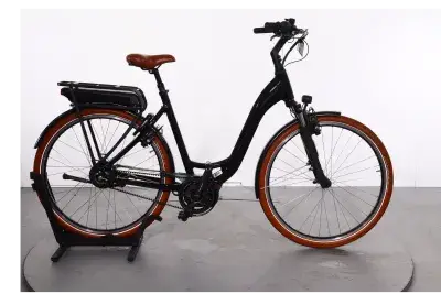 Riese & Müller Swing Vario | Upway, Gebrauchtes Ebike