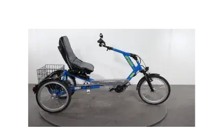 Draisin Malta | Upway, Gebrauchtes Ebike