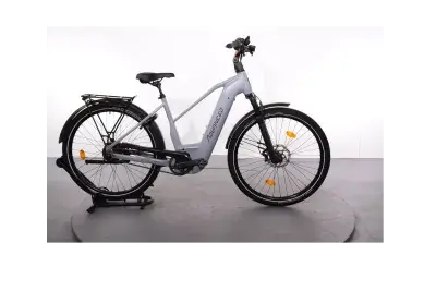 Advanced Trekking Pro | Upway, Gebrauchtes Ebike