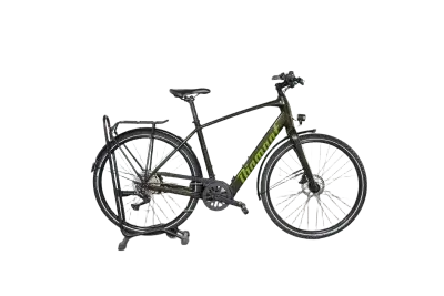 Diamant 365 Deluxe | Upway, Gebrauchtes Ebike