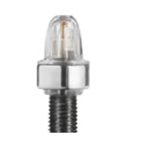 Schwalbe Magnet Staubkappe SV 2er Set - Abdeckkappe - Valve Parts & Accessories