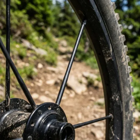 DT Swiss Speiche Alpine III 2.34mm / 294mm schwarz - extra robuste E-Bike & Tandem Speiche -…