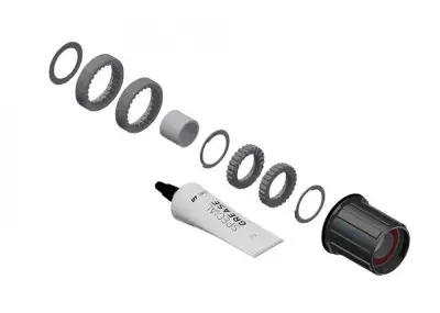 DT Swiss Service-/Upgrade-Kit Ratchet LN 18 Zähne - Umrüstung auf Ratchet-Freilaufsystem