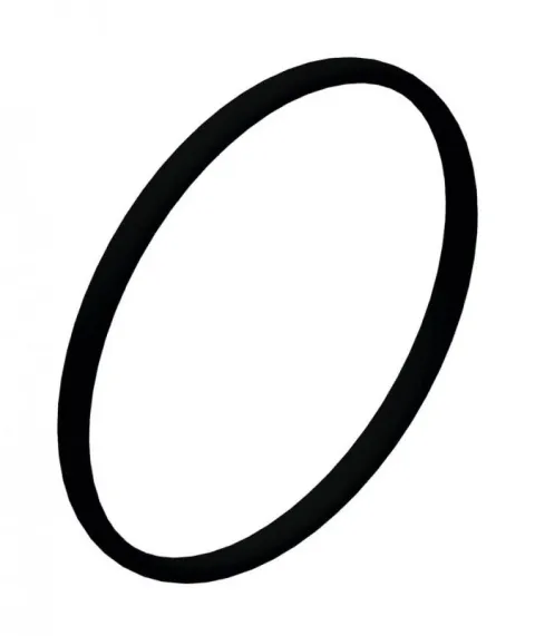 DT Swiss O-Ring Ø 17x1 mm NBR 17 x 1 mm Schwarz - präziser Dichtungsring