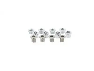 Stronglight Kettenblattschrauben-Set für 4-Arm MTB-Kurbeln, 3-fach, verchromter Stahl, kompatibel…