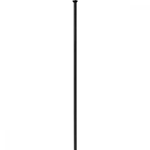 DT Swiss Speiche Competition 2.0 / 1.8 302 mm schwarz Straightpull - robuste Performance