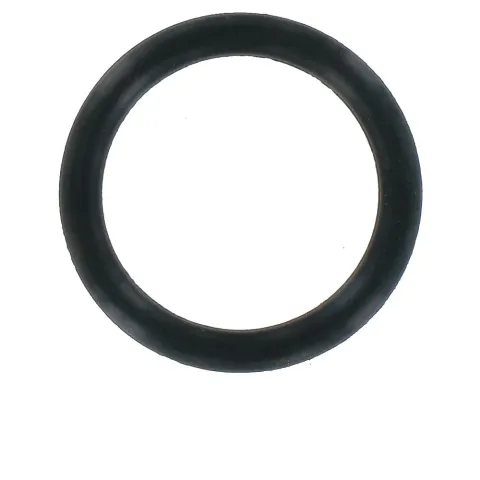 VAR Dichtungsring RP-80204 Schwarz - Ersatzteil für RP-80100 Fahrradpumpe