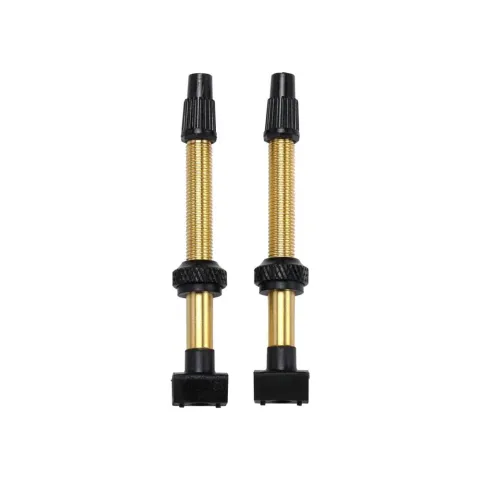 BBB Tubeless Ventile herausnehmbarer Kern 2 Stk 48mm messing