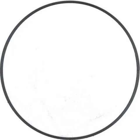 SHIMANO Stopring SG-8R20 - Sicherungsring für Nabenschaltung SG-8R20, 2 g