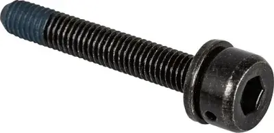 SHIMANO Befestigungsschraube Bremssatteladapter Flat-Mount-Rahmen 25 mm - präzise Montageleistung