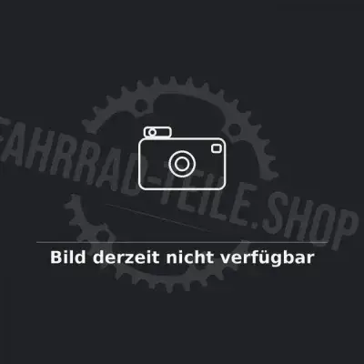 Centurion Bolzenkit für Federbeinbefestigung Numinis Trail E MY19 - moderne Ausführung