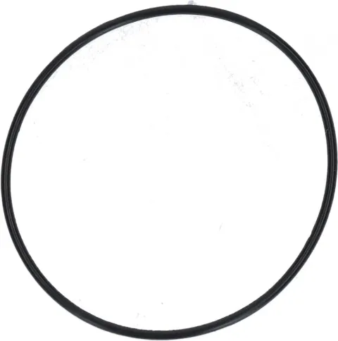 SHIMANO O-Ring SG-5R30-BT - Ersatz-O-Ring für Nabenschaltung, ca. 1 g