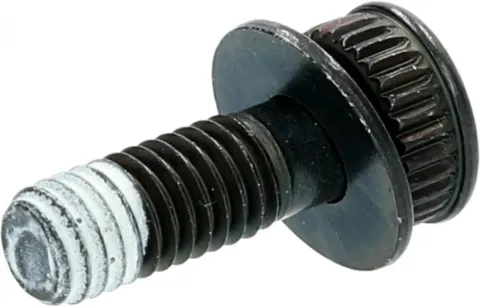 SHIMANO Befestigungsschraube Bremssattelhalter BR-R9170 A - 4 g, Y8PU07000
