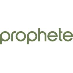 Prophete In Moving GmbH